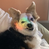 Entry image for Pico