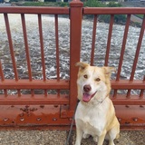 Entry image for Remy