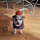 Entry image for Wizard