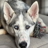 Entry image for Silver