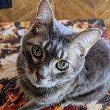 Entry image for Oliver