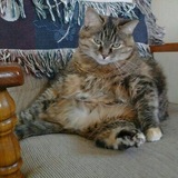 Entry image for Belle