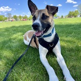 Entry image for Deke