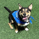 Entry image for Barry