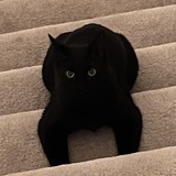 Entry image for Spider