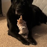 Entry image for Aspen