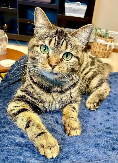 Entry image for Angela. Clicking this image will show a larger photo