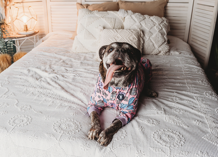 Entry image for Surly. Clicking this image will show a larger photo