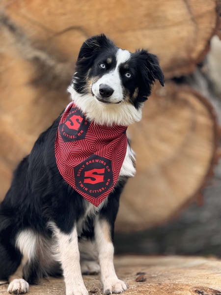 Entry image for Clara. Clicking this image will show a larger photo