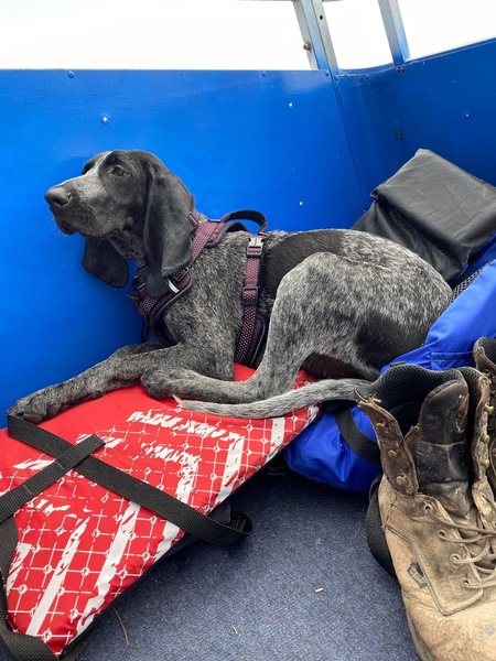 Entry image for Iris . Clicking this image will show a larger photo