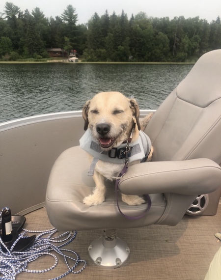 Entry image for Bowie. Clicking this image will show a larger photo