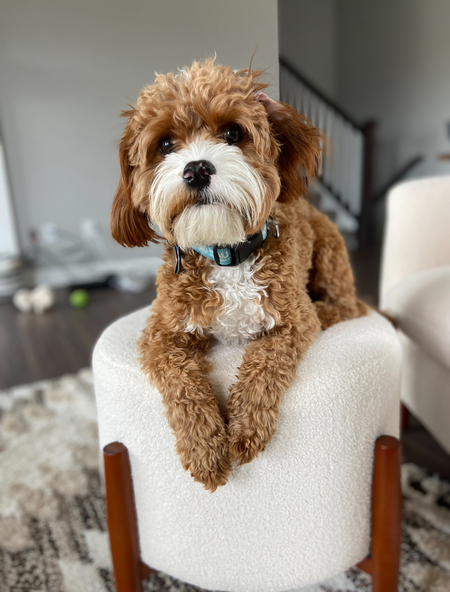 Entry image for Surly. Clicking this image will show a larger photo