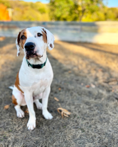 Entry image for Bruce. Clicking this image will show a larger photo