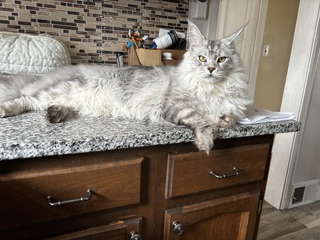 Entry image for Fred. Clicking this image will show a larger photo