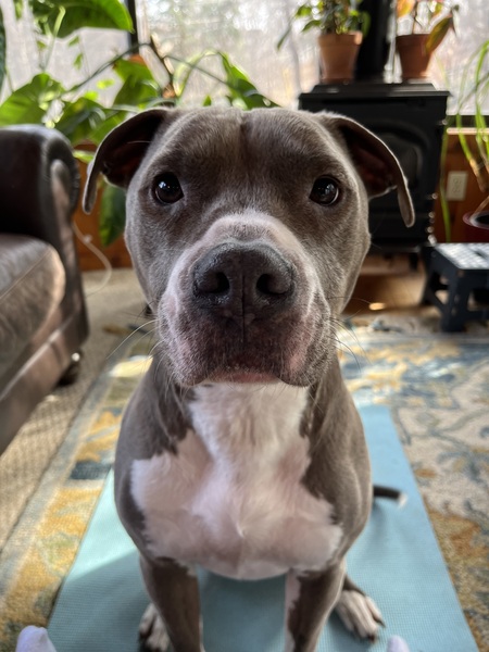 Entry image for Clark W. Griswold . Clicking this image will show a larger photo