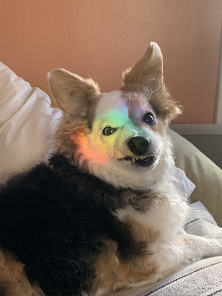 Entry image for Pico. Clicking this image will show a larger photo