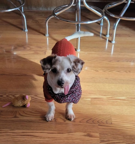 Entry image for Wizard. Clicking this image will show a larger photo