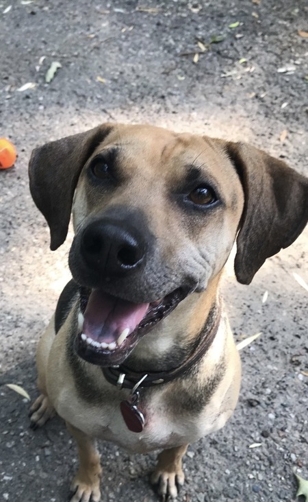 Entry image for Clementine. Clicking this image will show a larger photo