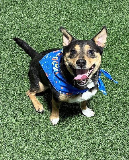 Entry image for Barry. Clicking this image will show a larger photo