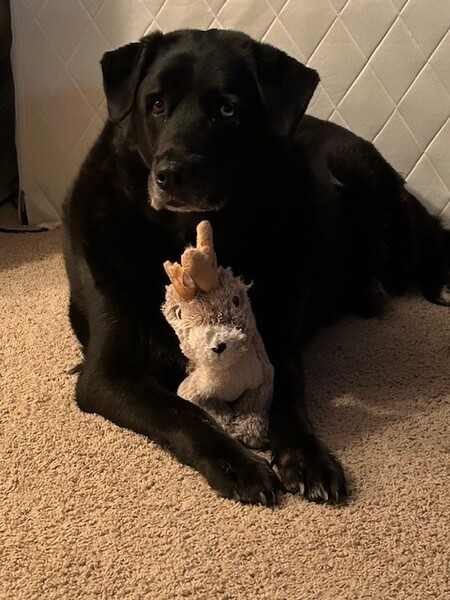 Entry image for Aspen. Clicking this image will show a larger photo