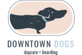 Downtown Dogs