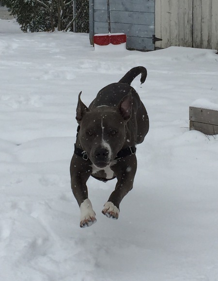 Opie Winston