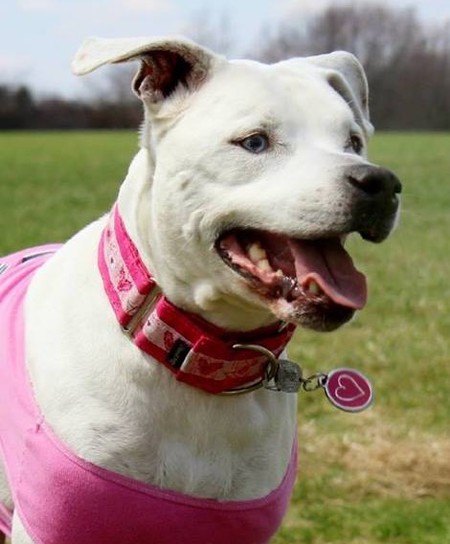 Rosie 