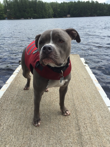 Tyson