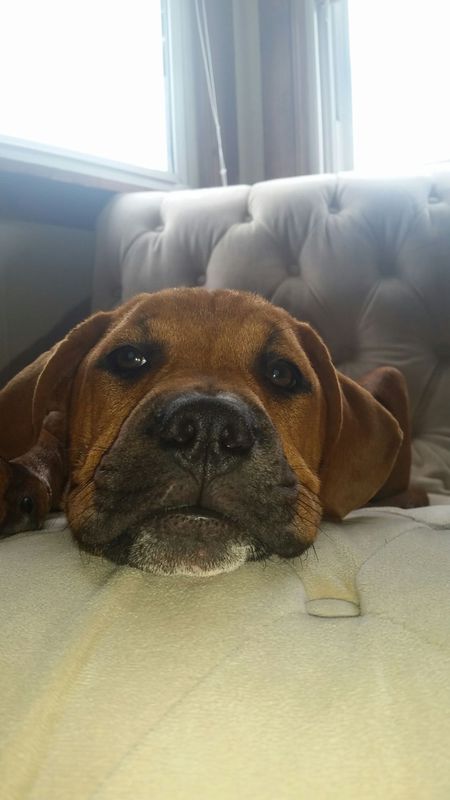 Ernie