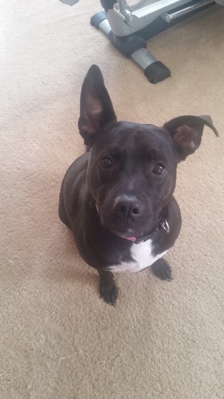 Sophie