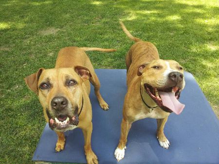 Taffy & Caiden