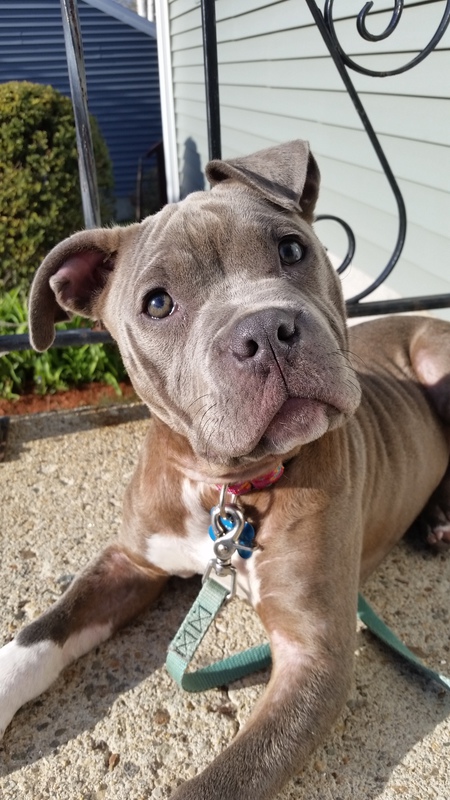Sophia 