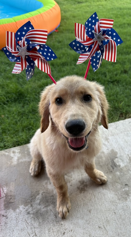 Maverick