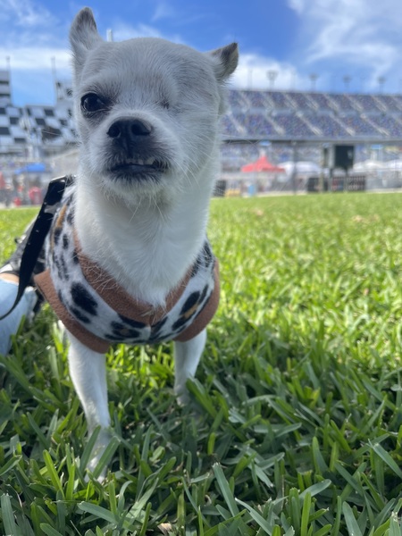 Tina