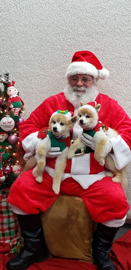 Harley & Marley 