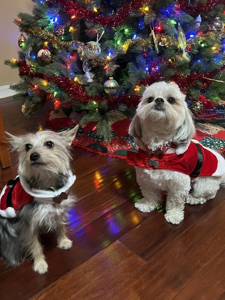 Teddy and Molly