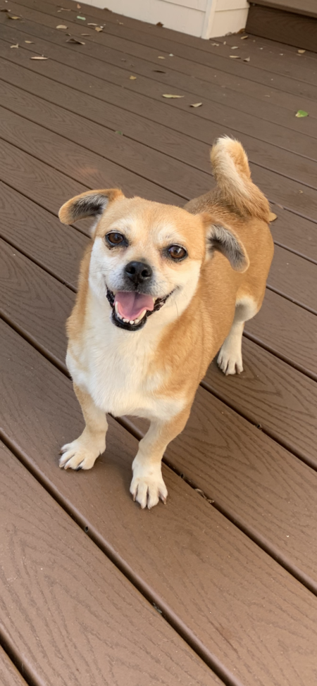 Maggie