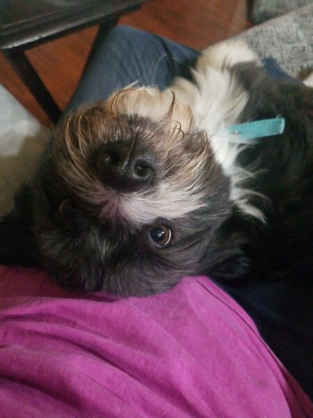 Obie