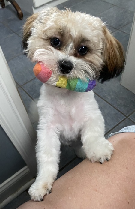 Percy aka Archie