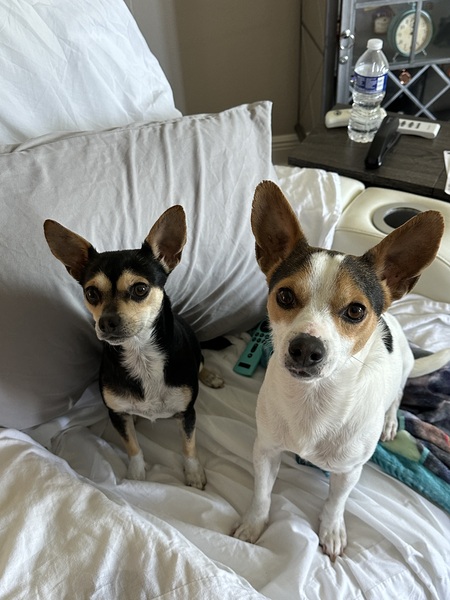 Cleo and Papi