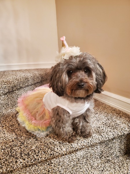 Lola