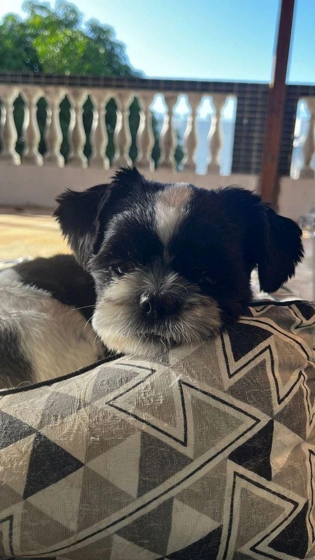 Luna
