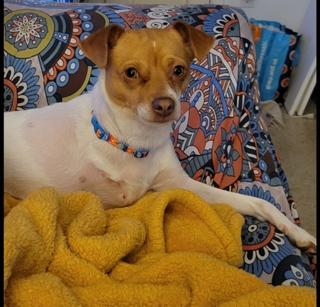 Coco