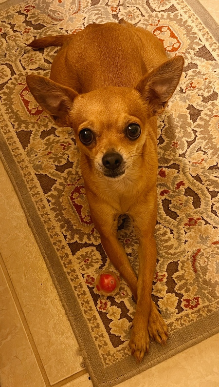 Sadie