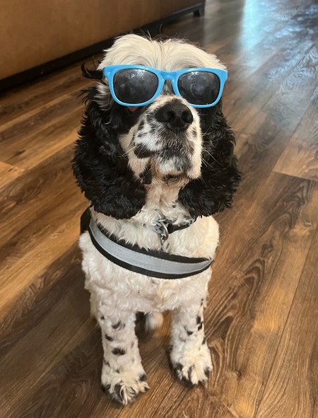 Oreo