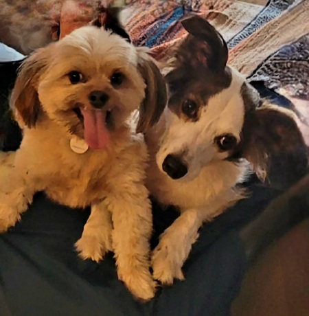 Mortimer and Mitzi