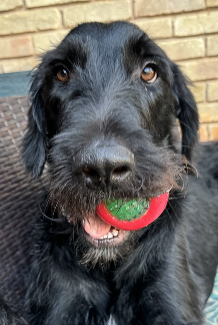 Huxley