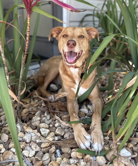 Teagan