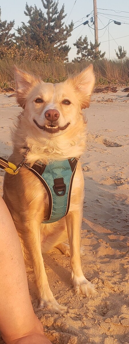 Sunny