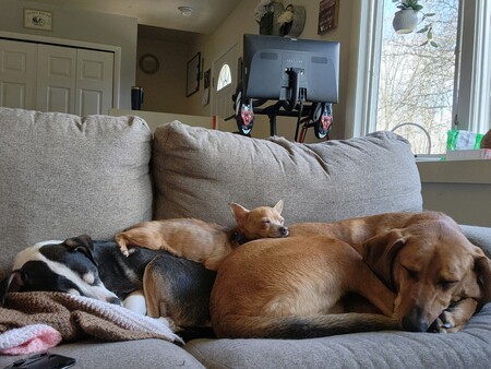Butterbean, Chance, and Ella